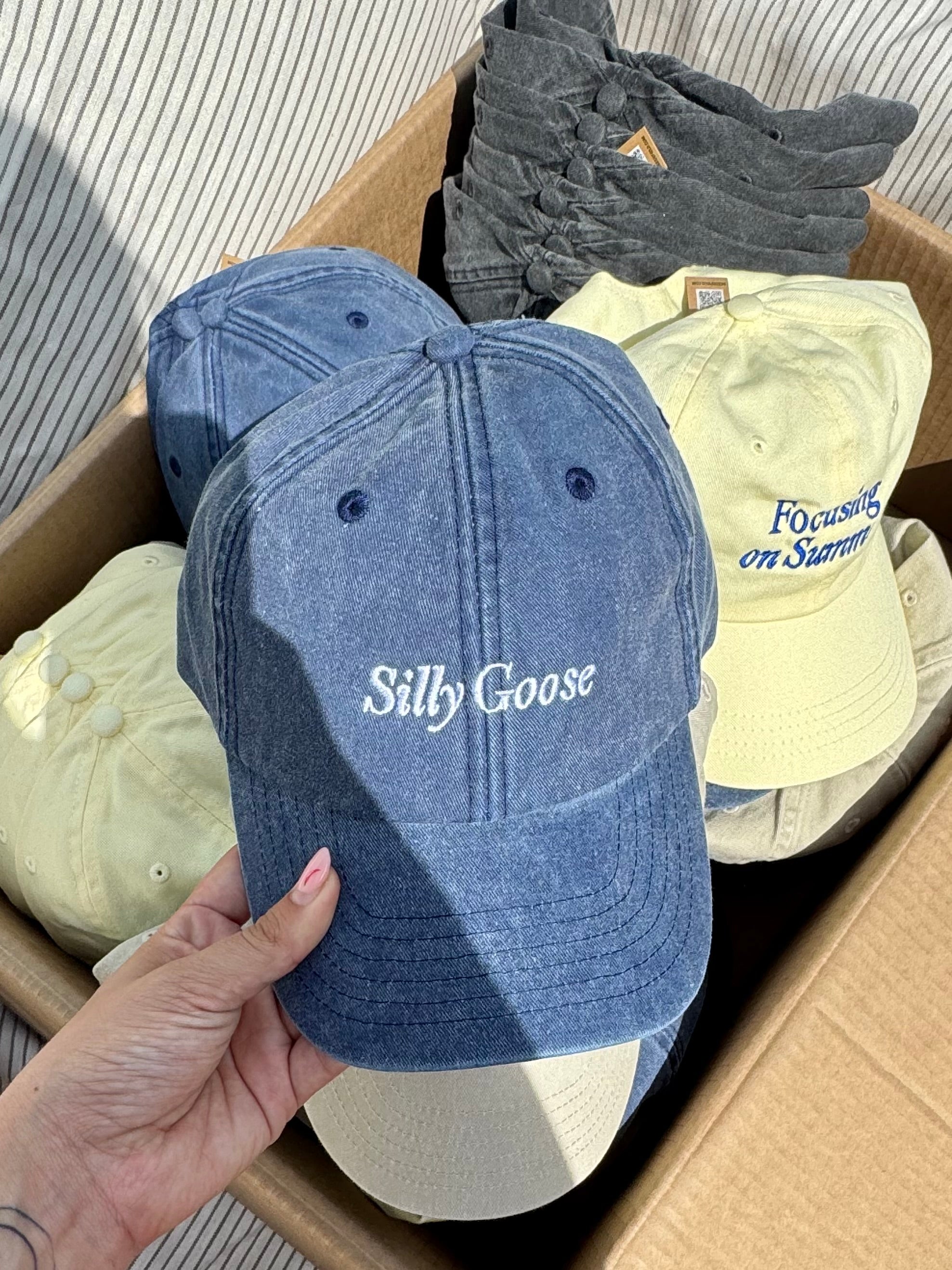 *PRE-ORDER* Silly Goose Baseball Cap